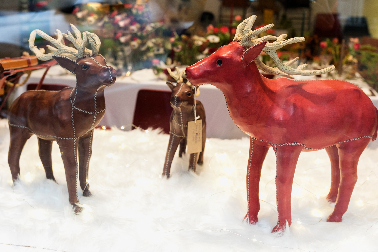 Foto renos forrados en piel sol y luna