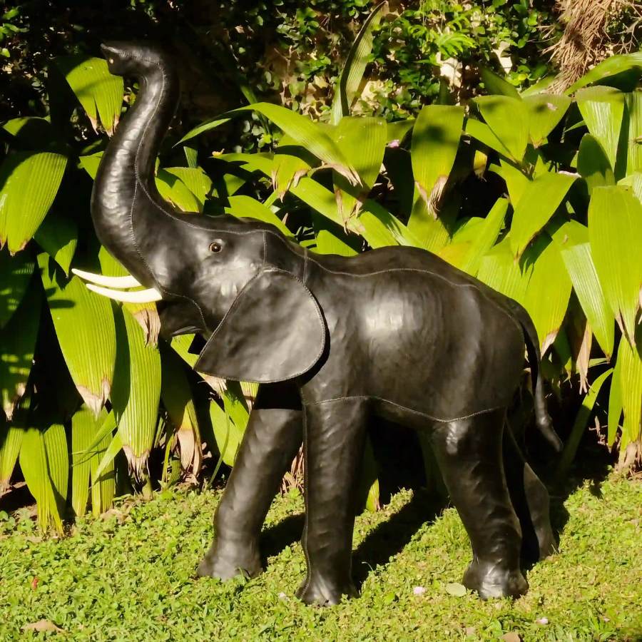 elefante en cuero sol xluna