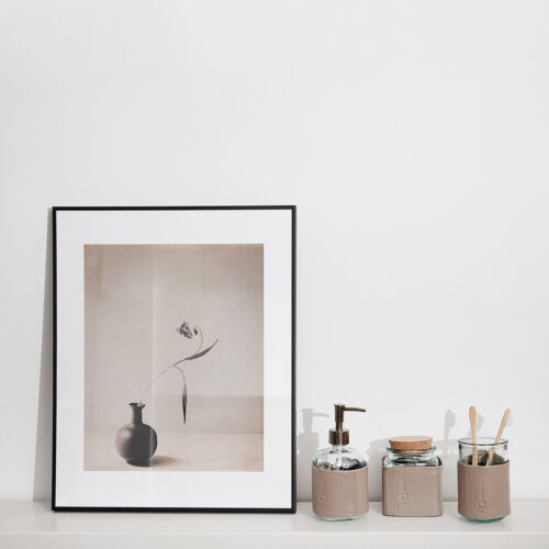 SL-imagen-tarro-baño