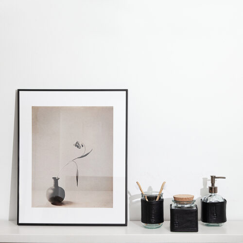 SL-imagen-tarro-baño