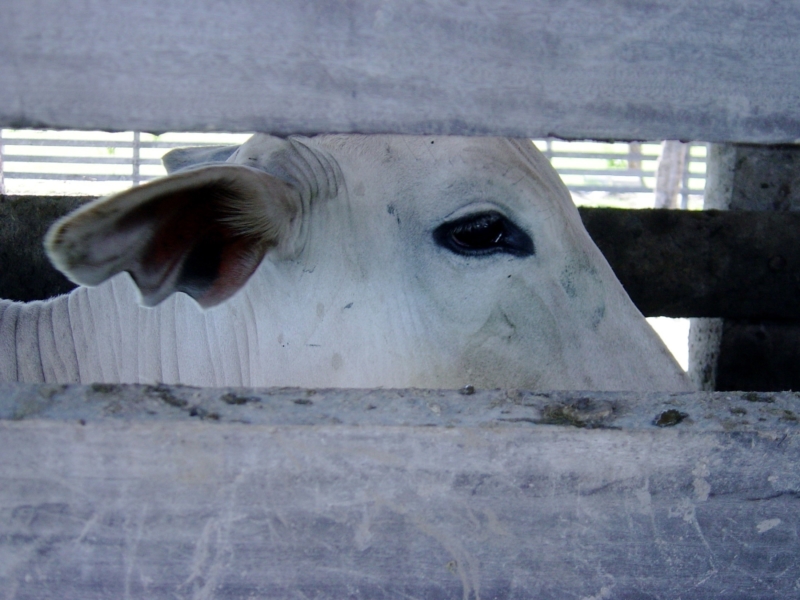 Como mantener y limpiar el cuero Sol&Luna artesania en cuero